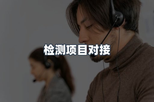 检测项目对接